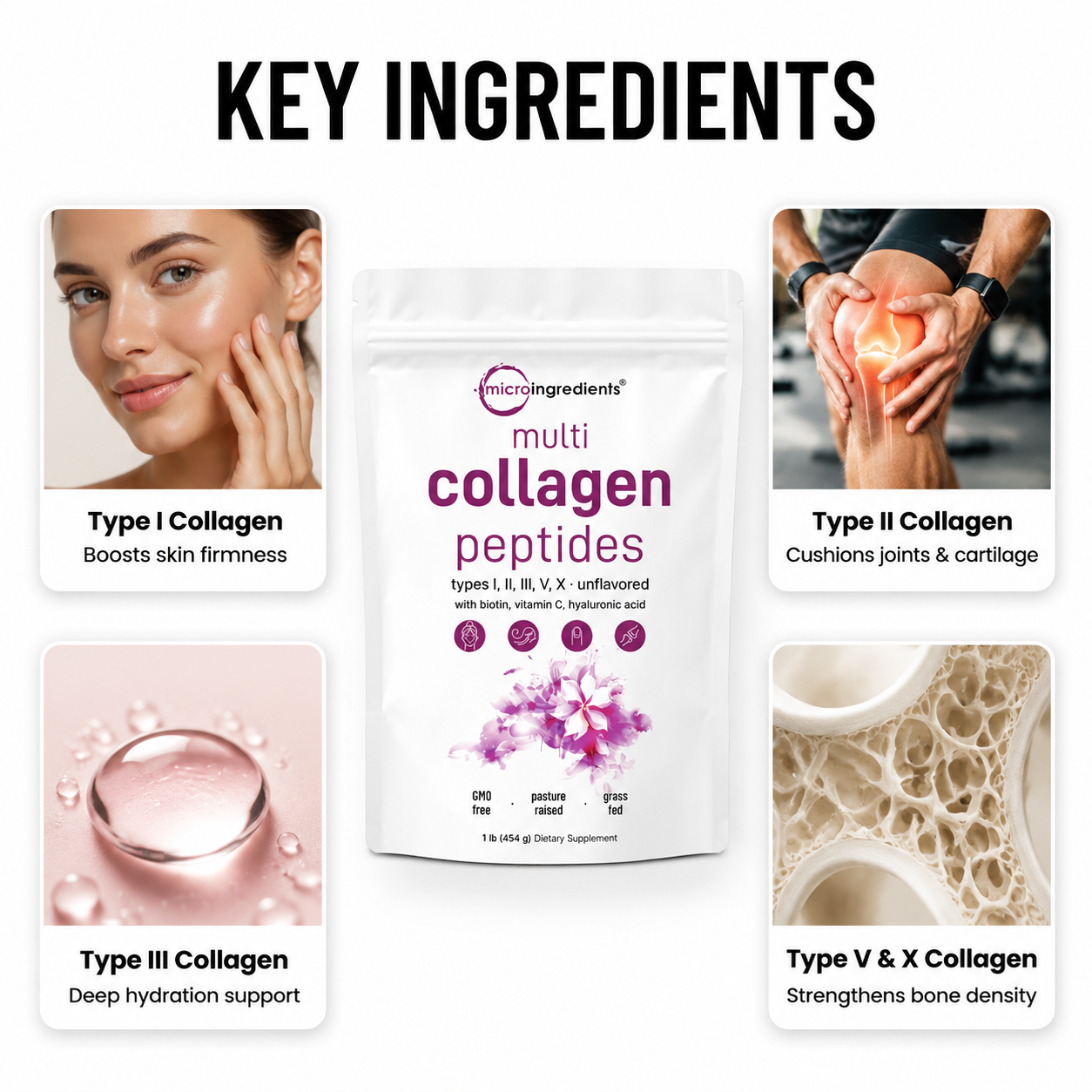 Multi Collagen Peptides